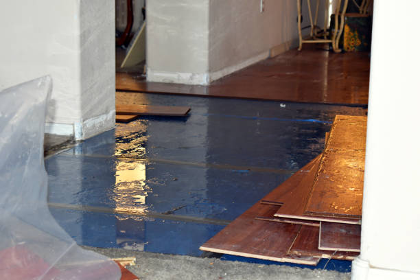 Professional Basement Flood Cleanup technician working in Linden, NJ